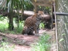 Belize 059